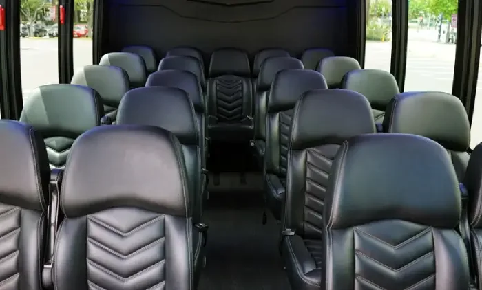 Executive mini coach leather seating