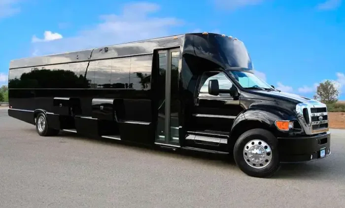 Black executive mini coach