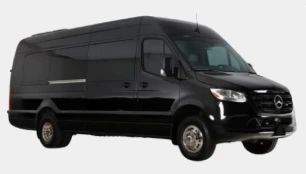 Black executive Sprinter
